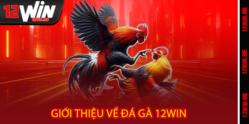 Giới thiệu về Đá Gà 12WIN